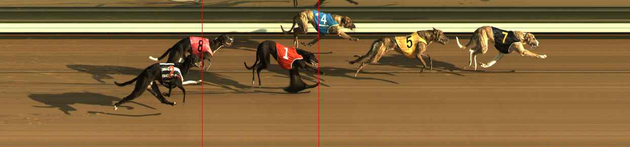 Race result finish photo